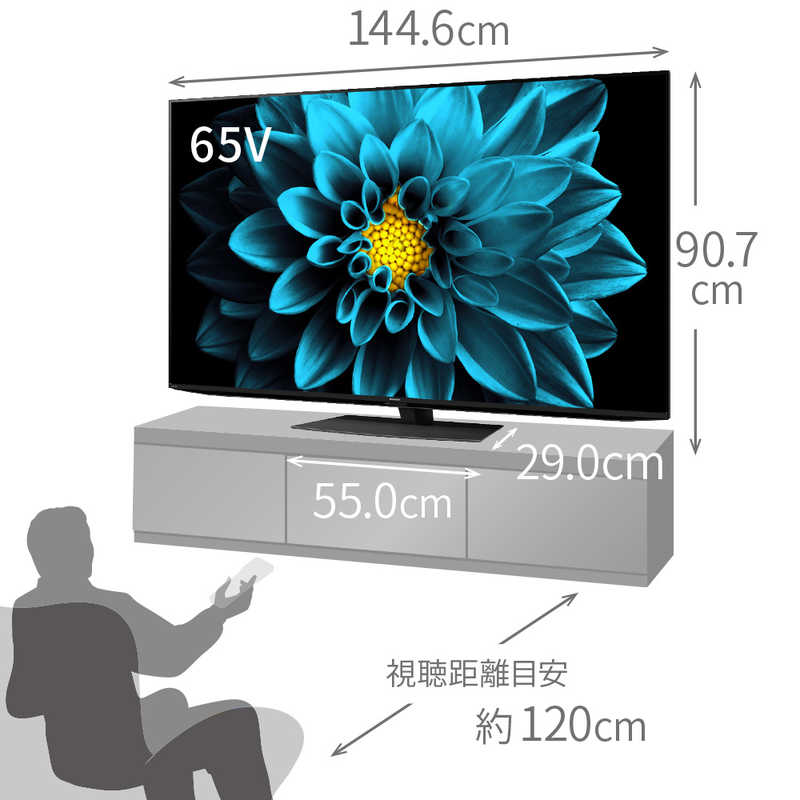 シャープ）4K液晶テレビ 【AQUOS】 65V型 4TC65DL1 | ミラポ